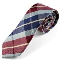 Best reviews of 🎁 Tailor Toki Blue & Bordeaux Plaid Polyester Tie 🌟